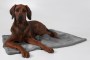 Hundedecke_Pl-sch_grau-2