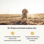 feel-good-produkt-anwendung