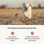 happy-move-produkt-anwendung